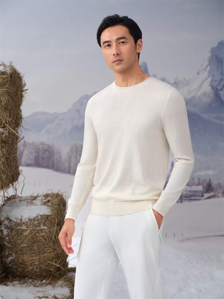 HEARDRO 男士可机洗WASHABLE亲肤羊毛衫 8335322100